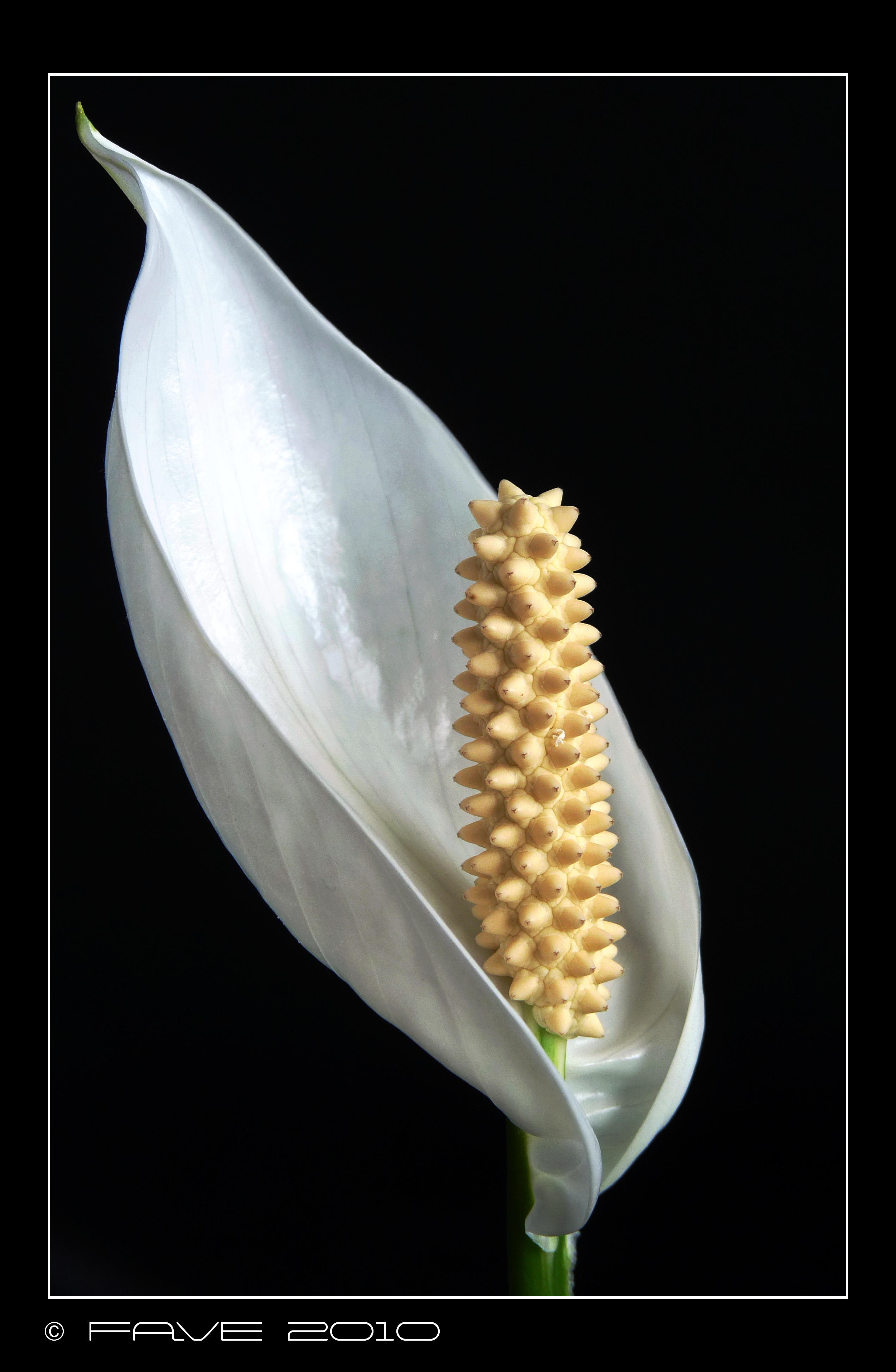 P1010543